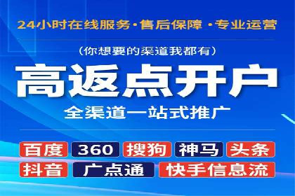 SEM代理操作技巧：成功案例揭秘