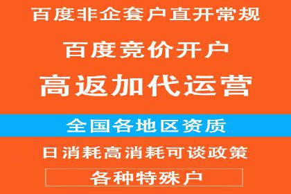 百度竞价排名优化技巧与成功案例分享
